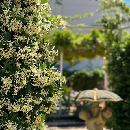 Casa de Férias Angelina *